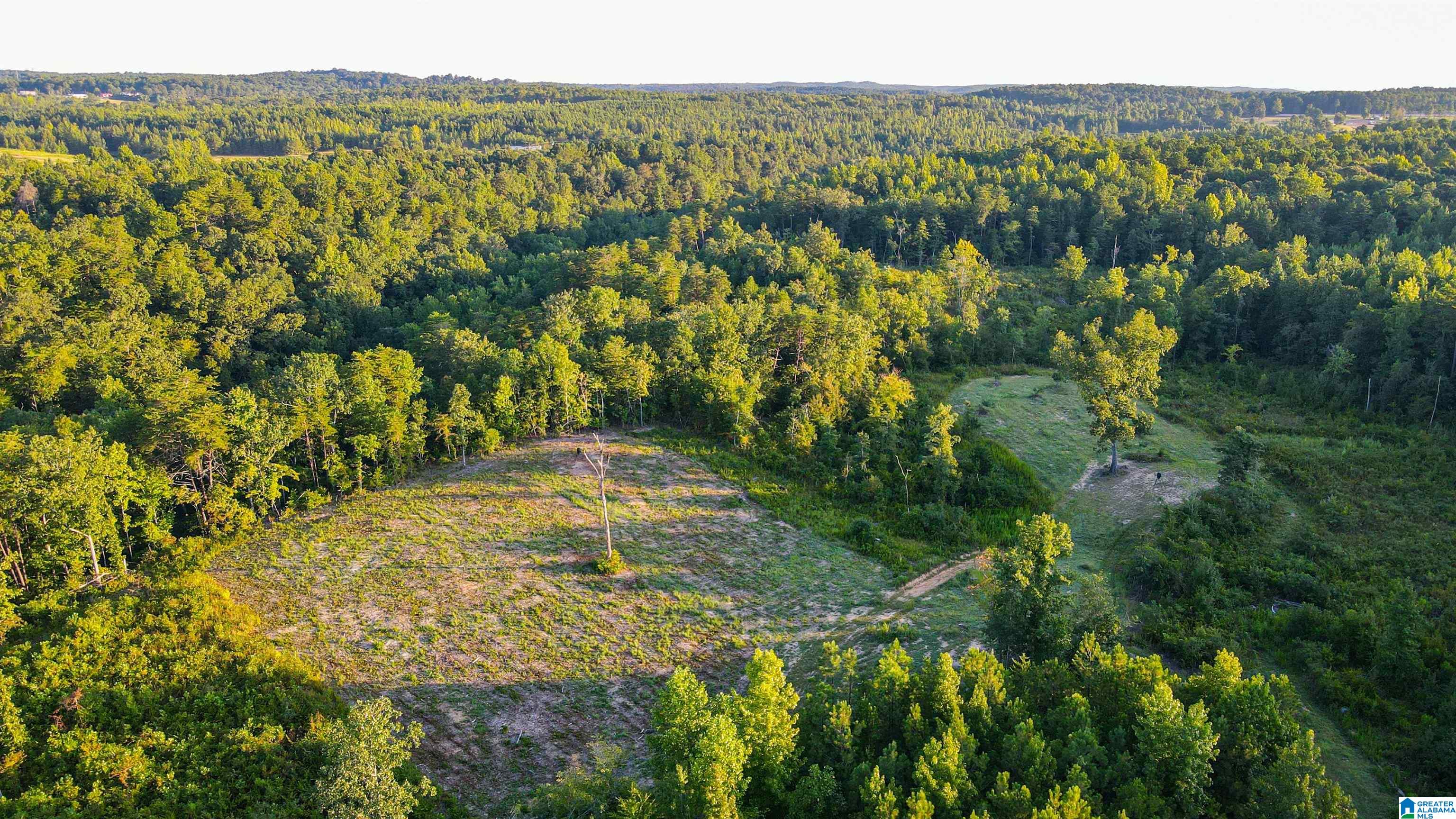 Bonner Drive, Unit 1 Berry, AL 35546 - Photo 8 of 56