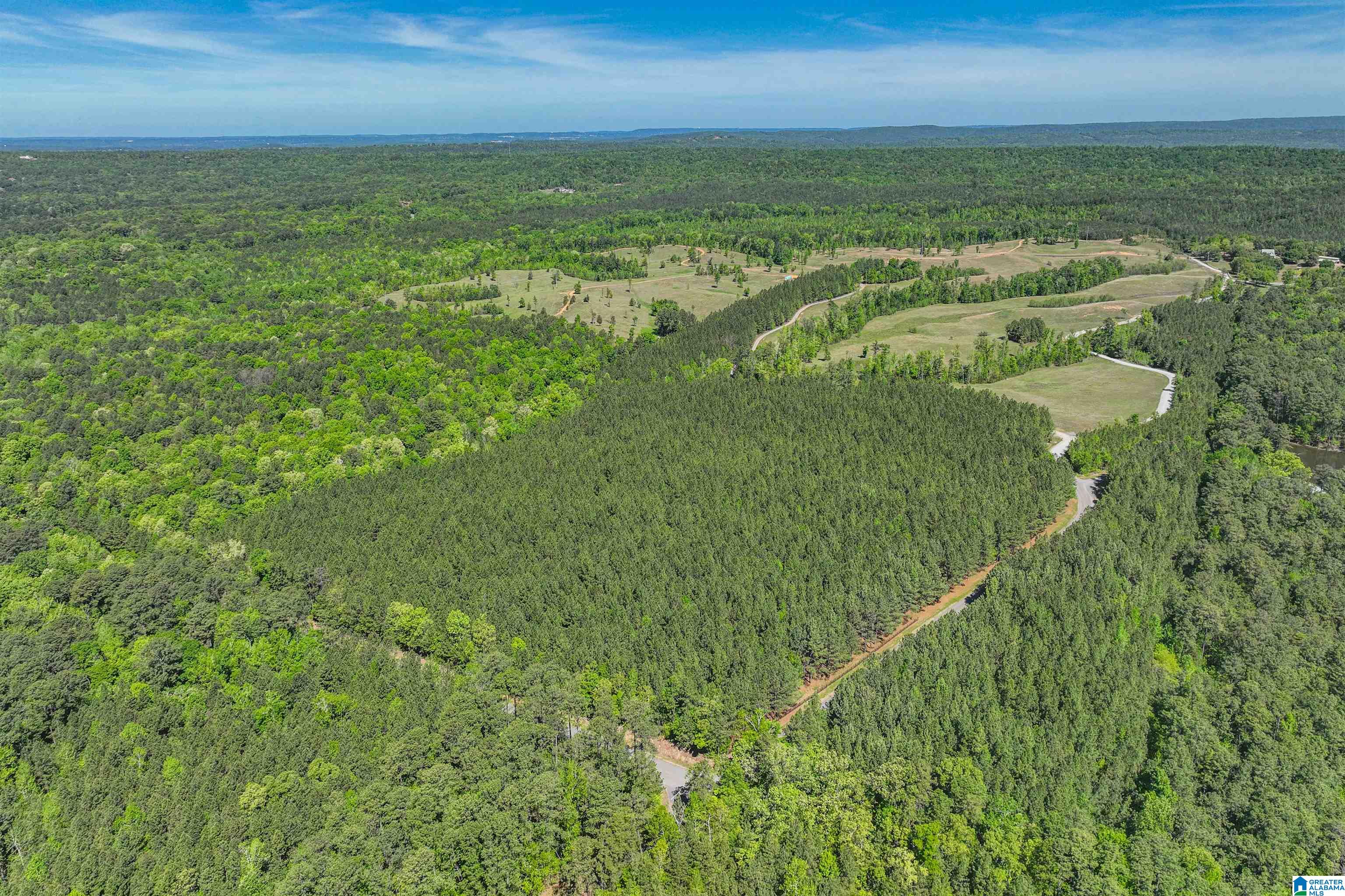 489 4 Wing Lake Road Alabaster, AL 35007 - Photo 12 of 27