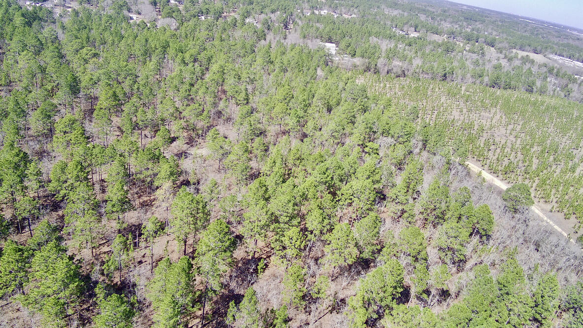 0 Jacques Haven Road Gaston, SC 29053 - Photo 11 of 15