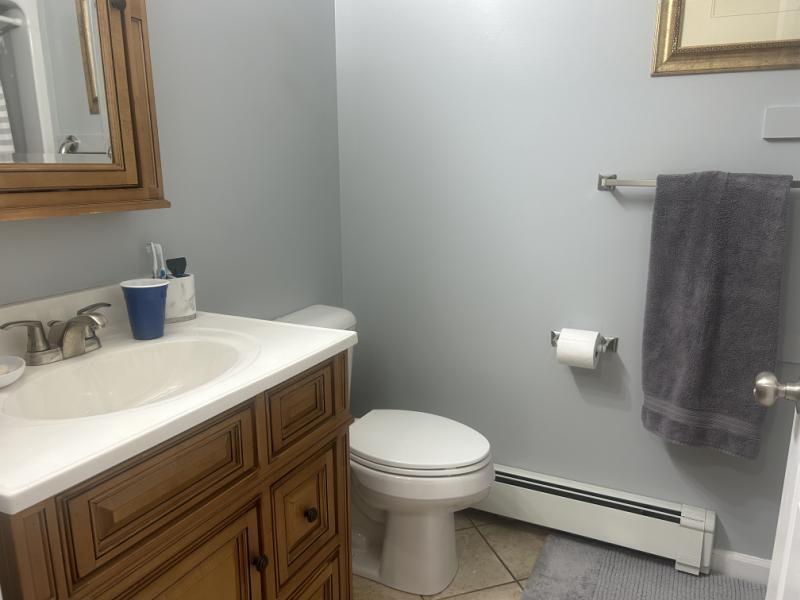 7859 Port Austin Road Pigeon, MI 48755 - Photo 15 of 18 bath a