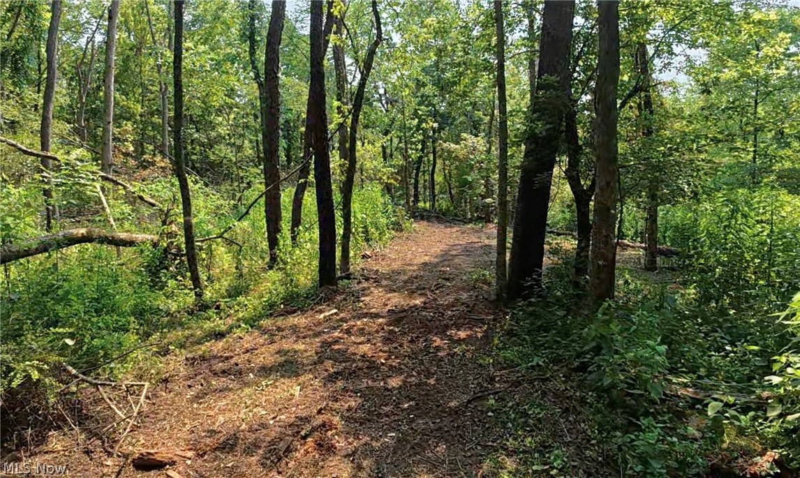 Shreve Road Shreve, OH 44676 - Photo 10 of 12