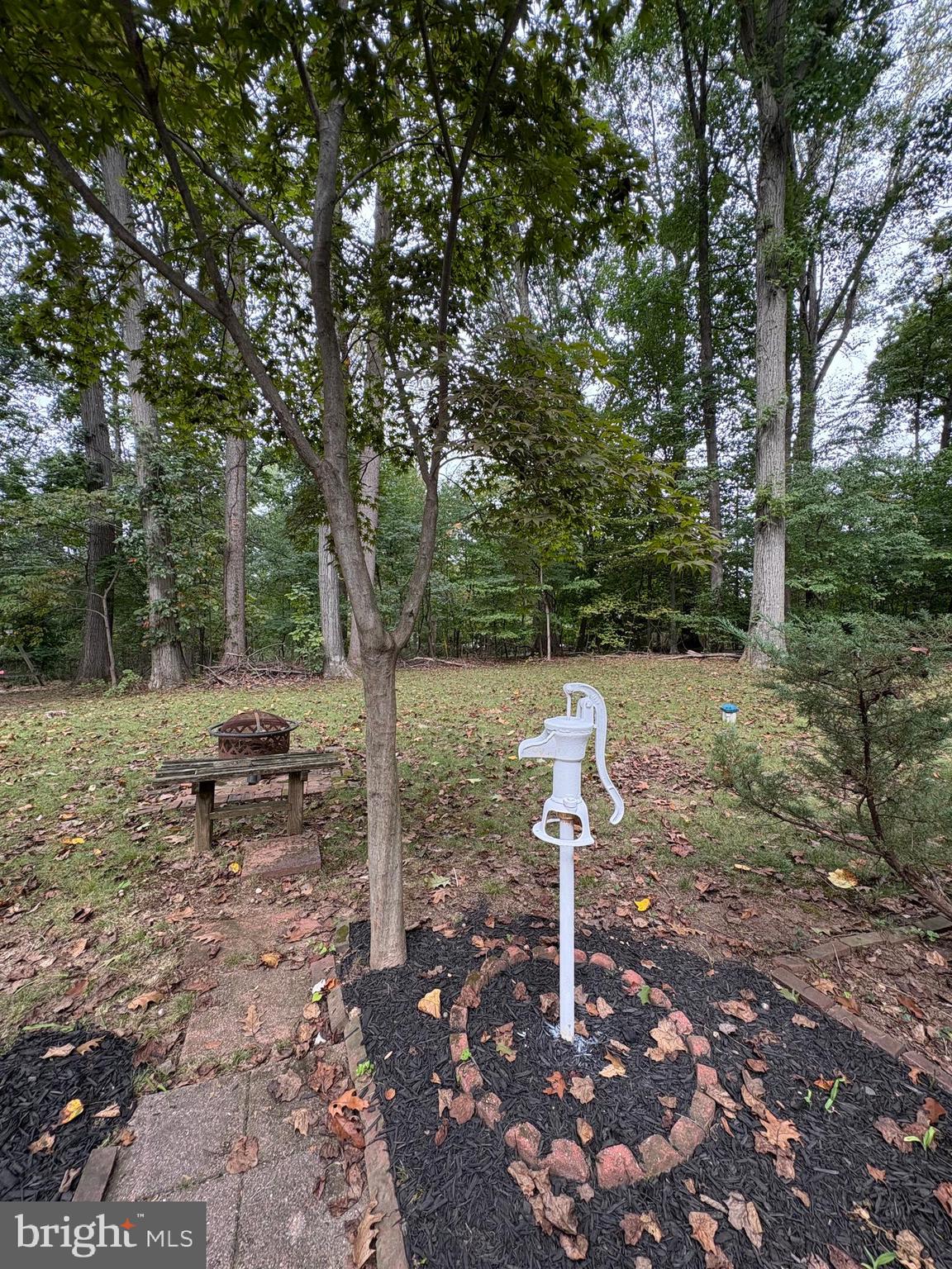 3306 Whitesworth Road Phoenix, MD 21131 - Photo 28 of 31 a backyard of a house with lots of green space