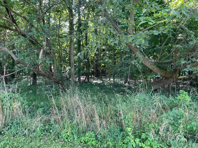 $39,900 | 915-927 Western Avenue, Watervliet, MI 49098