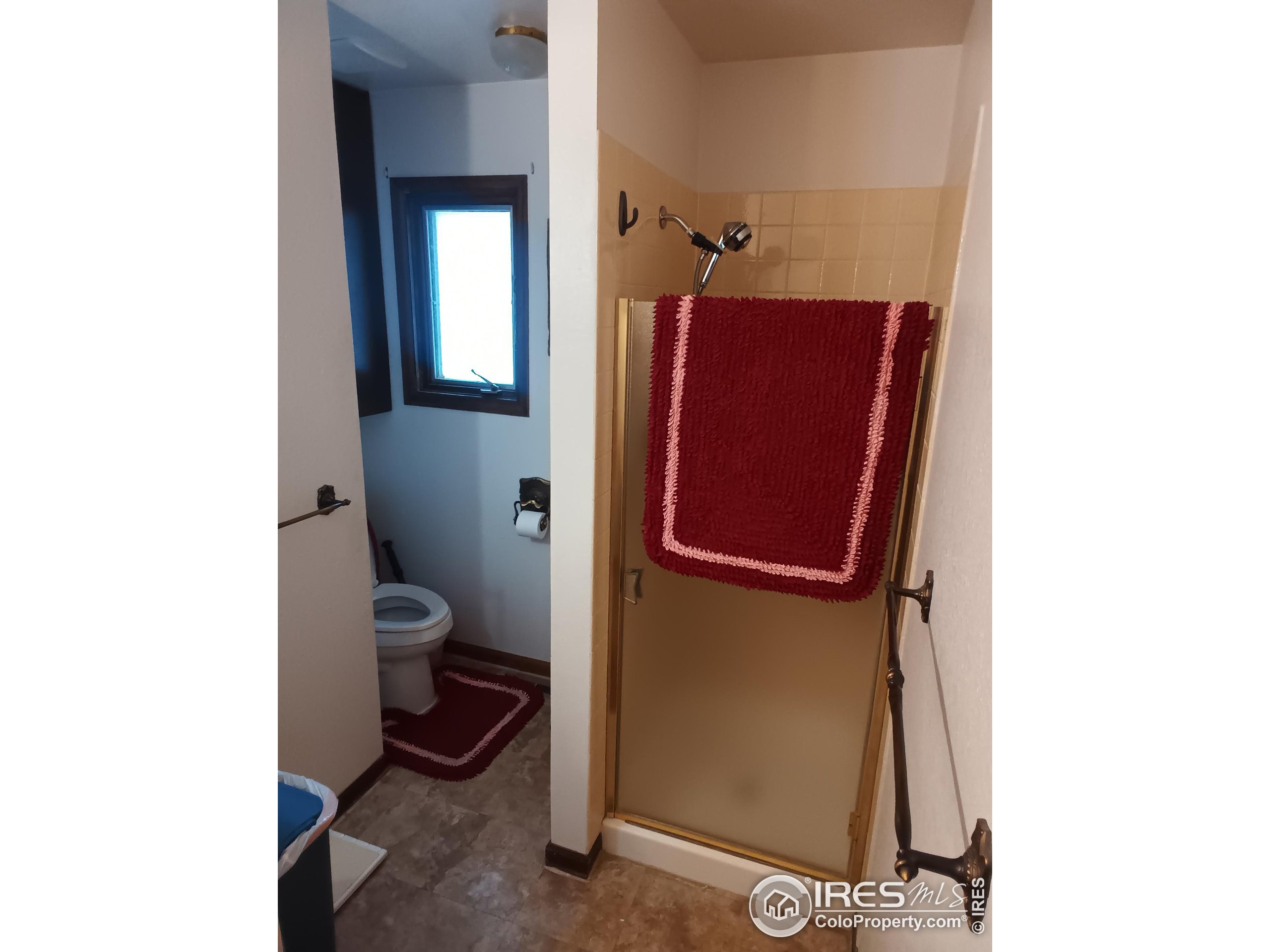209 Crown Point Drive Bellvue, CO 80512 - Photo 12 of 16 a bathroom with a toilet and a shower
