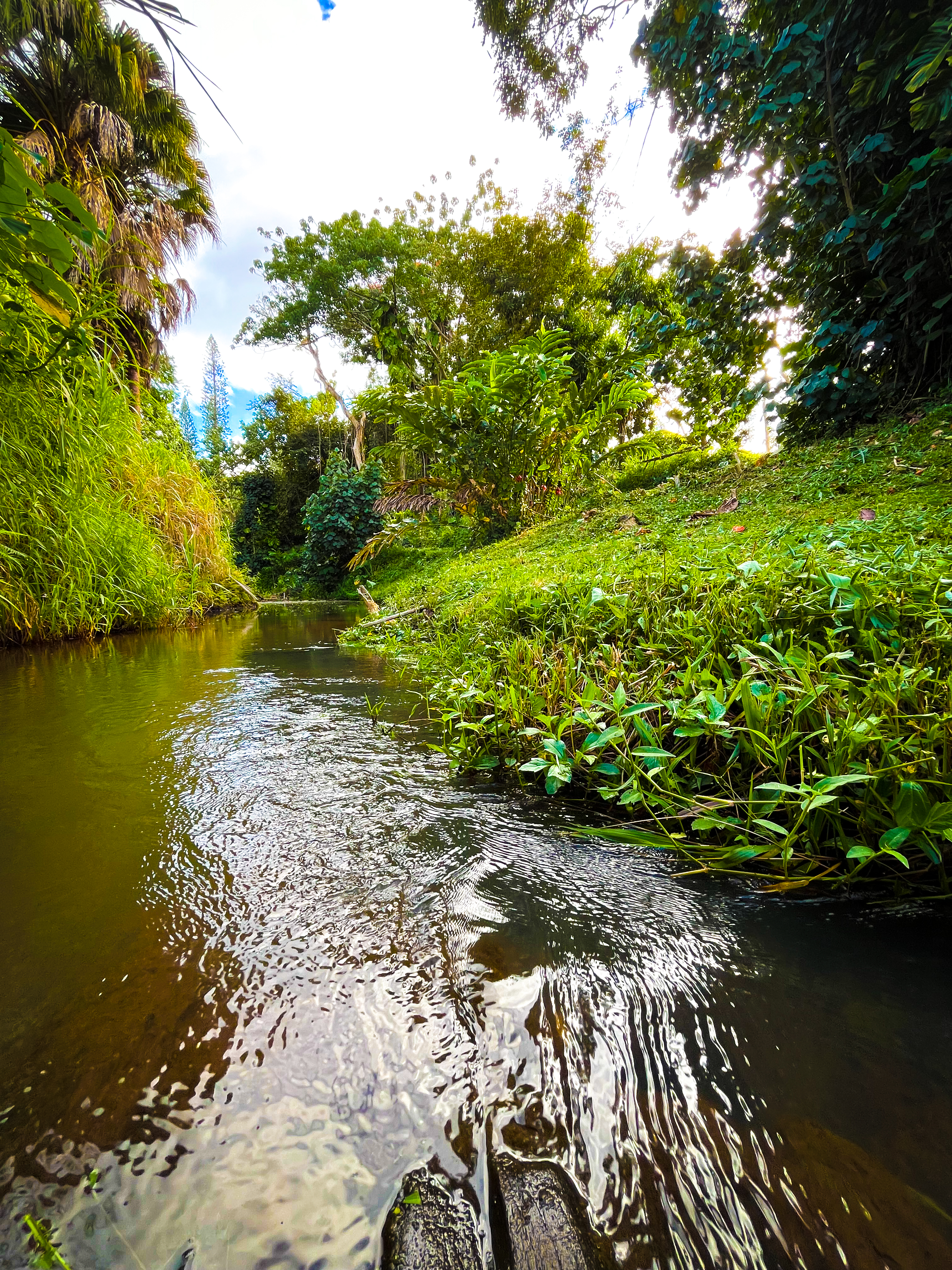 6546 D Kuamoo Road, Unit 5 Kapaa, HI 96746 - Photo 2 of 8