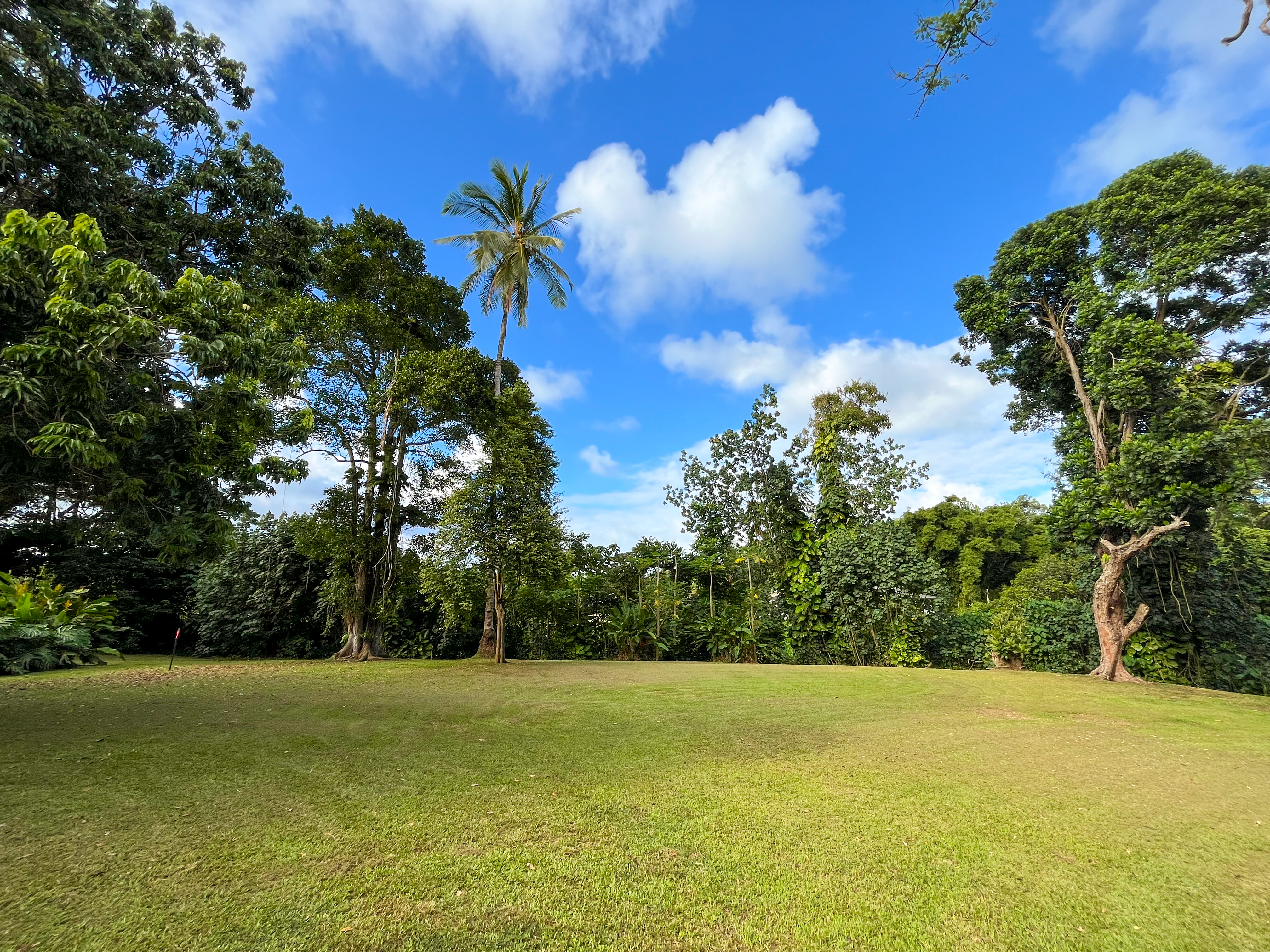 6546 D Kuamoo Road, Unit 5 Kapaa, HI 96746 - Photo 4 of 8