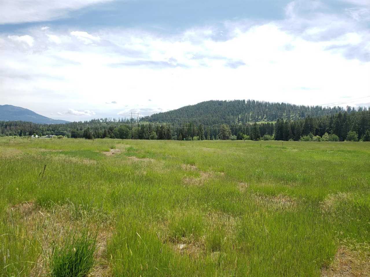 2143 Ringneck Loop Colville, WA 99114 - Photo 1 of 6