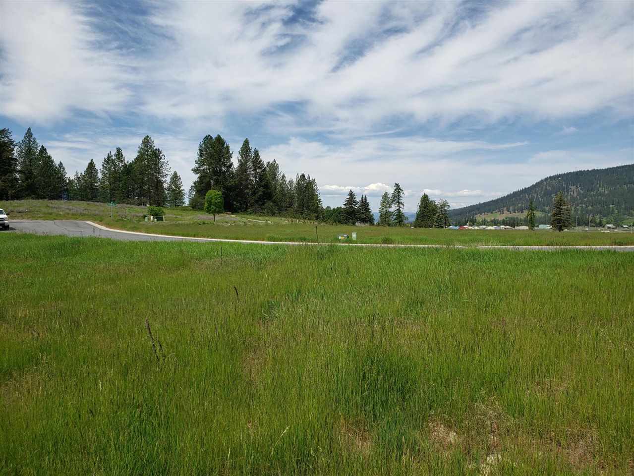 2143 Ringneck Loop Colville, WA 99114 - Photo 4 of 6