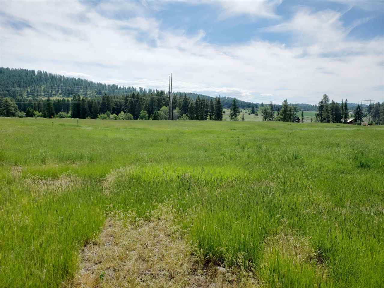 2143 Ringneck Loop Colville, WA 99114 - Photo 6 of 6