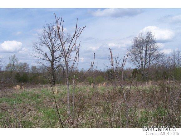 31 West V Thompson Road Rutherfordton, NC 28139 - Photo 11 of 11 a view of a yard