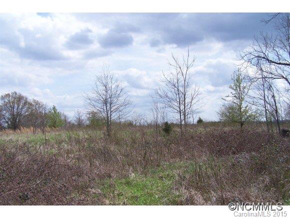 31 West V Thompson Road Rutherfordton, NC 28139 - Photo 5 of 11 a view of a dry yard
