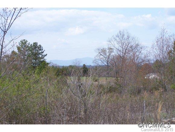 31 West V Thompson Road Rutherfordton, NC 28139 - Photo 6 of 11 a view of a yard
