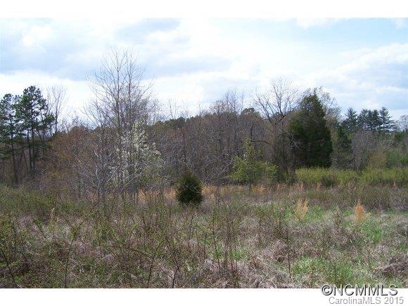 31 West V Thompson Road Rutherfordton, NC 28139 - Photo 10 of 11 a view of a field of grass and trees