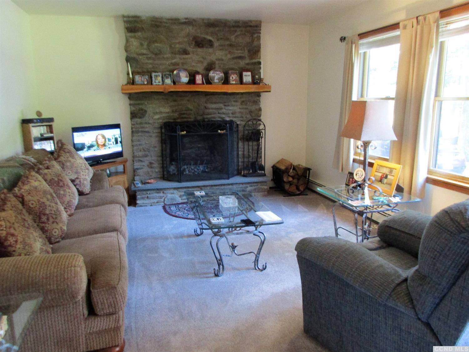 508 Doman Road Freehold, NY 12431 - Photo 9 of 10 Photo 9