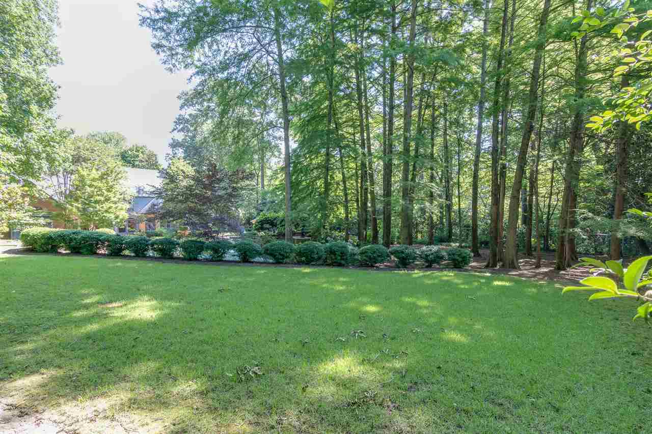4271 Walnut Grove Road Memphis, TN 38117 - Photo 21 of 25