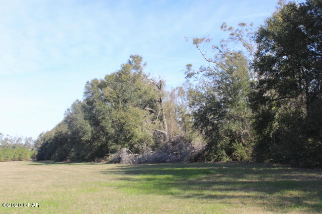 5148 Wintergreen Road Bascom, FL 32423 - Photo 34 of 36