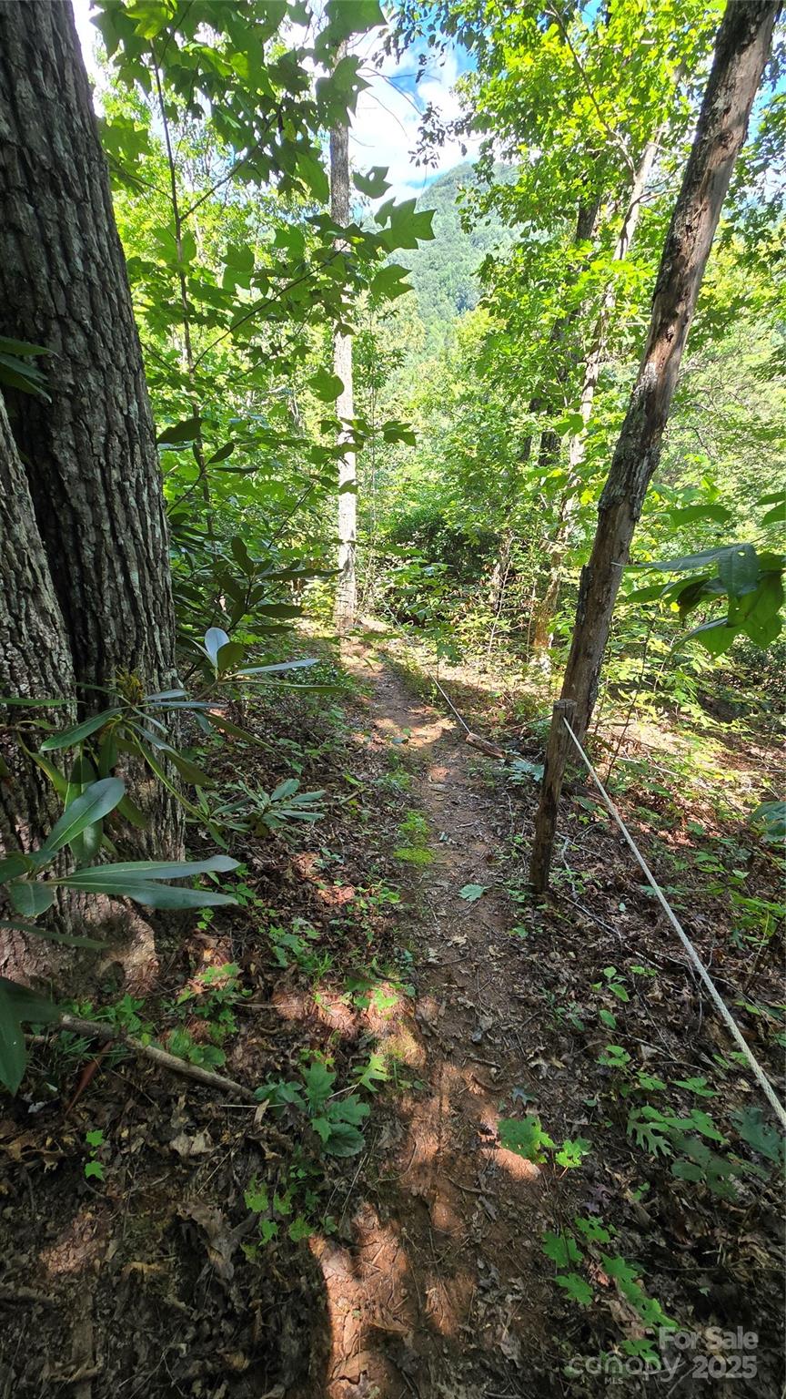 288 Long Ridge Road Old Fort, NC 28762 - Photo 43 of 48
