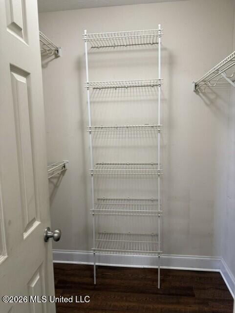 624 Oak Ridge Way Pearl, MS 39208 - Photo 16 of 22 Primary closet