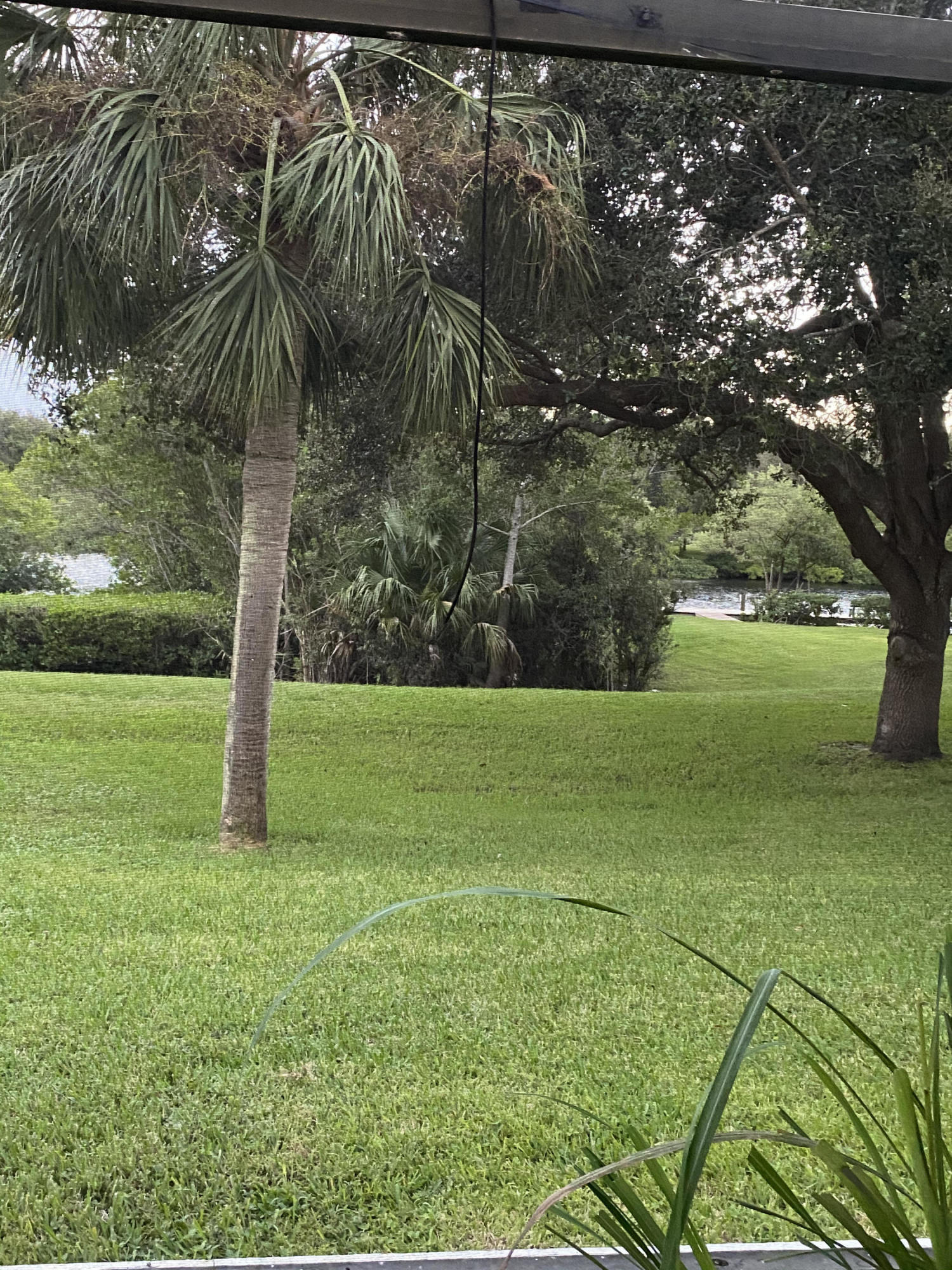 6183 Riverwalk Lane, Unit 3 Jupiter, FL 33458 - Photo 16 of 35 a view of a field with a tree