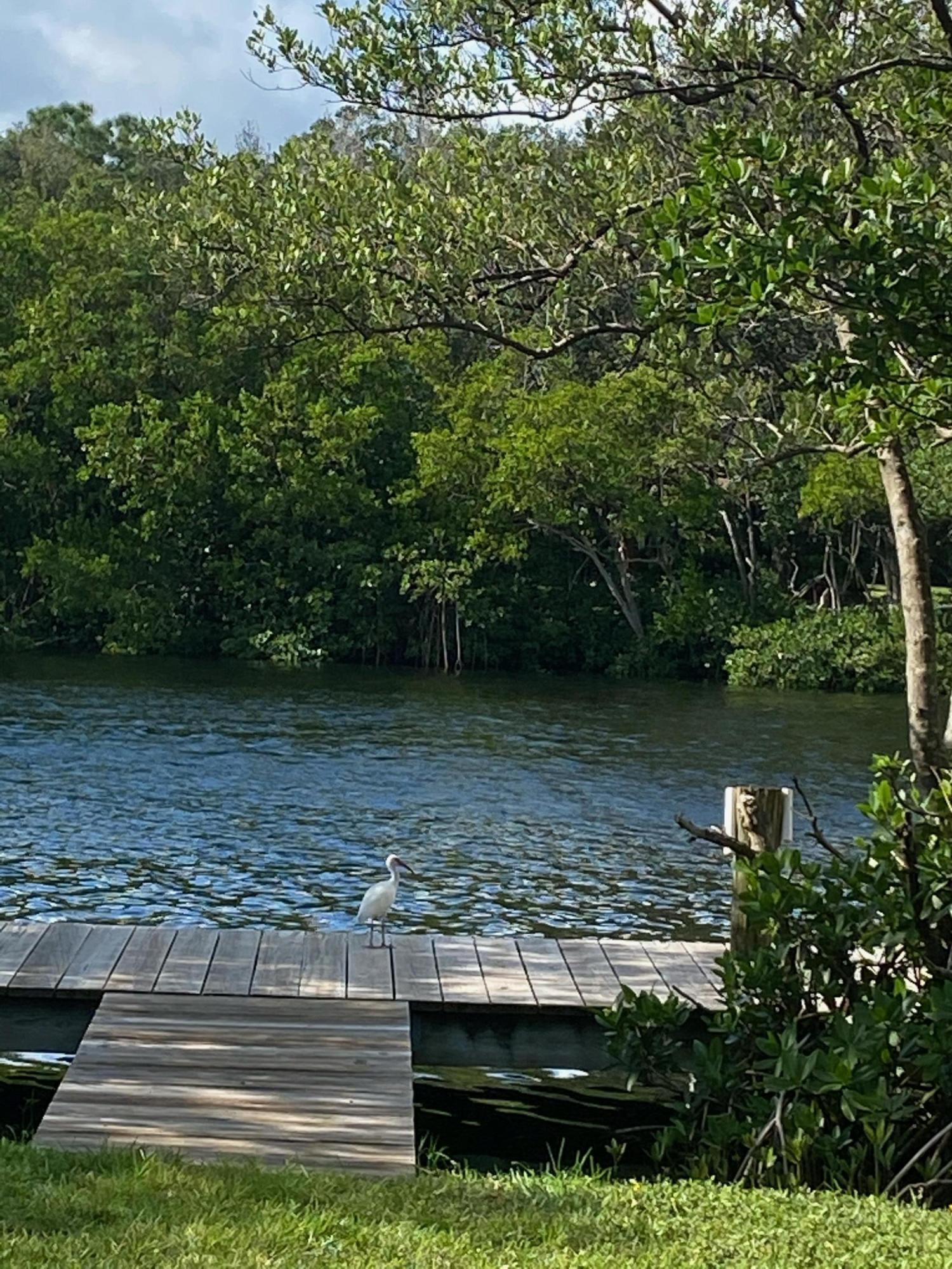 6183 Riverwalk Lane, Unit 3 Jupiter, FL 33458 - Photo 34 of 35 a view of a lake