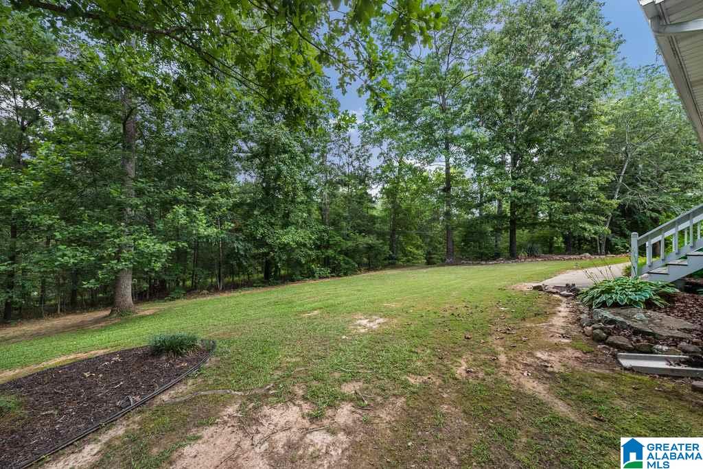 265 Canoe Creek Road Springville, AL 35146 - Photo 6 of 25
