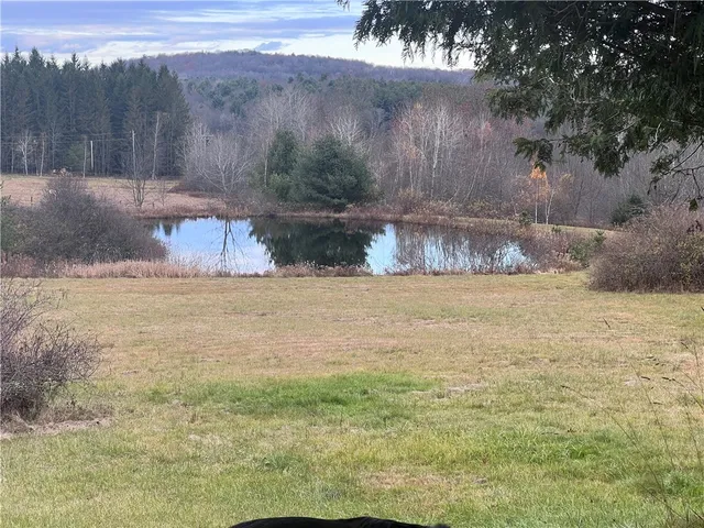 $529,000 | 569 Wilbur Hill Road, Butternuts, NY 13849