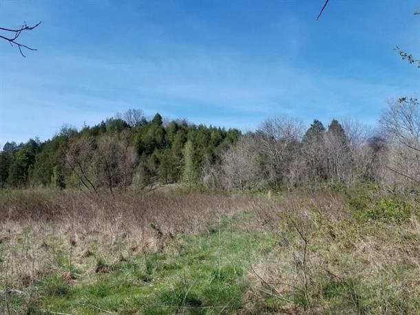 002 Indian Gap Road Sevierville, TN 37876 - Photo 12 of 16 231517
