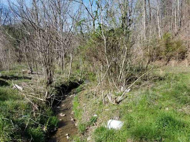 002 Indian Gap Road Sevierville, TN 37876 - Photo 15 of 16 231517-3