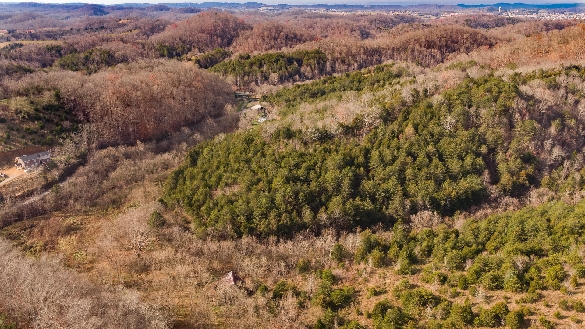 002 Indian Gap Road Sevierville, TN 37876 - Photo 8 of 16 -21