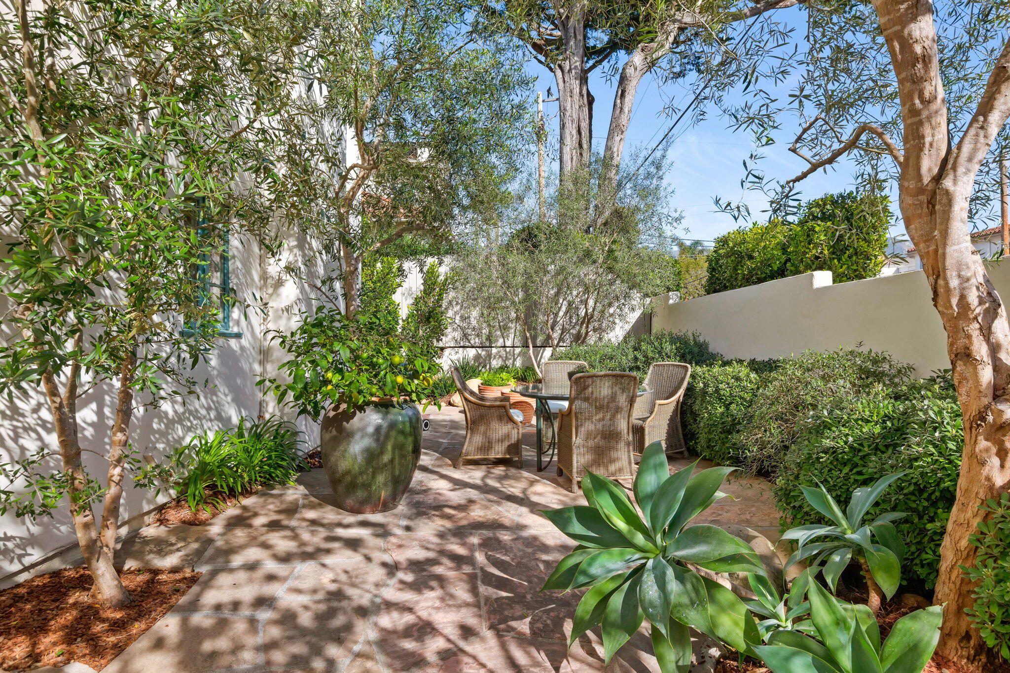 71 Olive Mill Road Montecito, CA 93108 - Photo 18 of 30 a view of a garden with plants and large trees