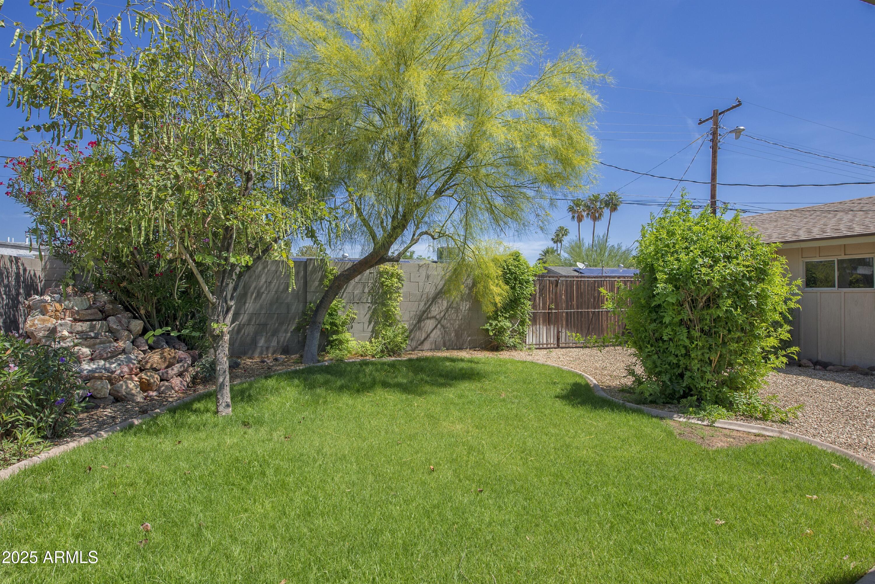 36 East Fillmore Street Tempe, AZ 85288 - Photo 12 of 15 a view of a backyard with a plants