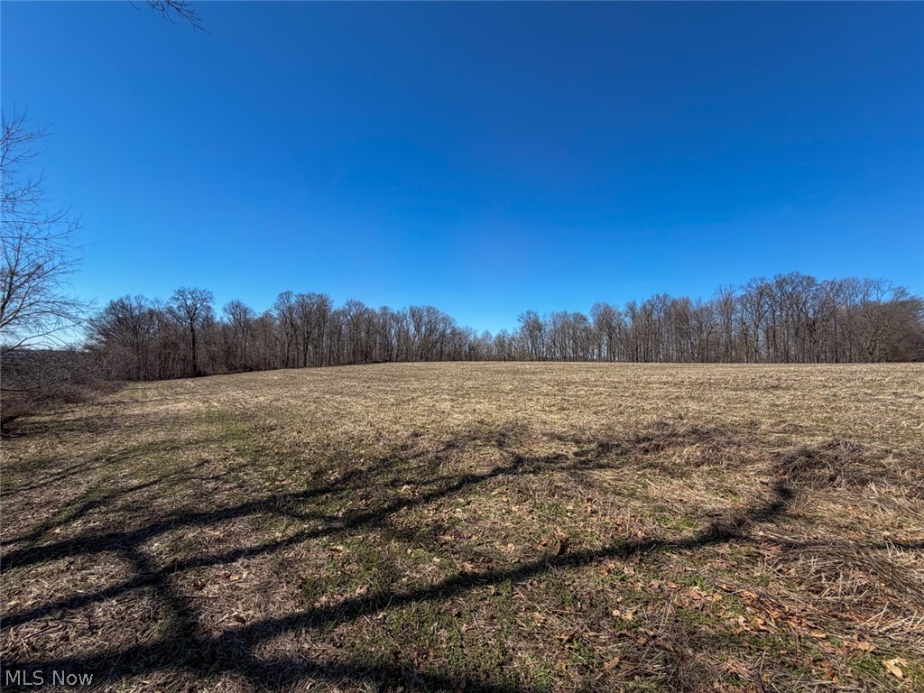 17970 Scott Road Mount Vernon, OH 43050 - Photo 15 of 35