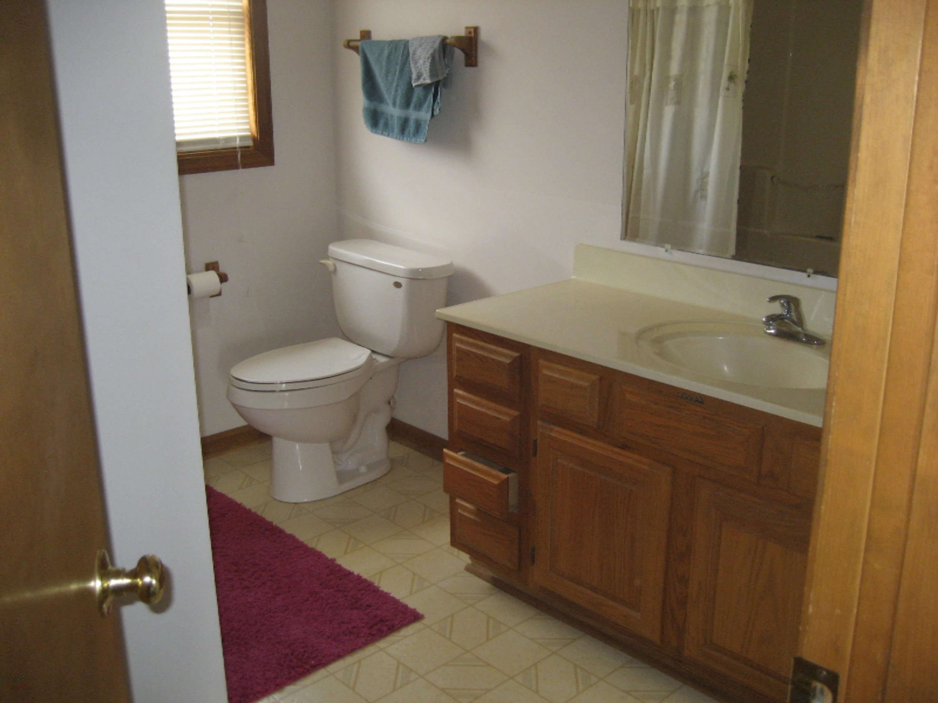 10748 West Chadwick Road Eagle, MI 48822 - Photo 42 of 51 IMG_4579
