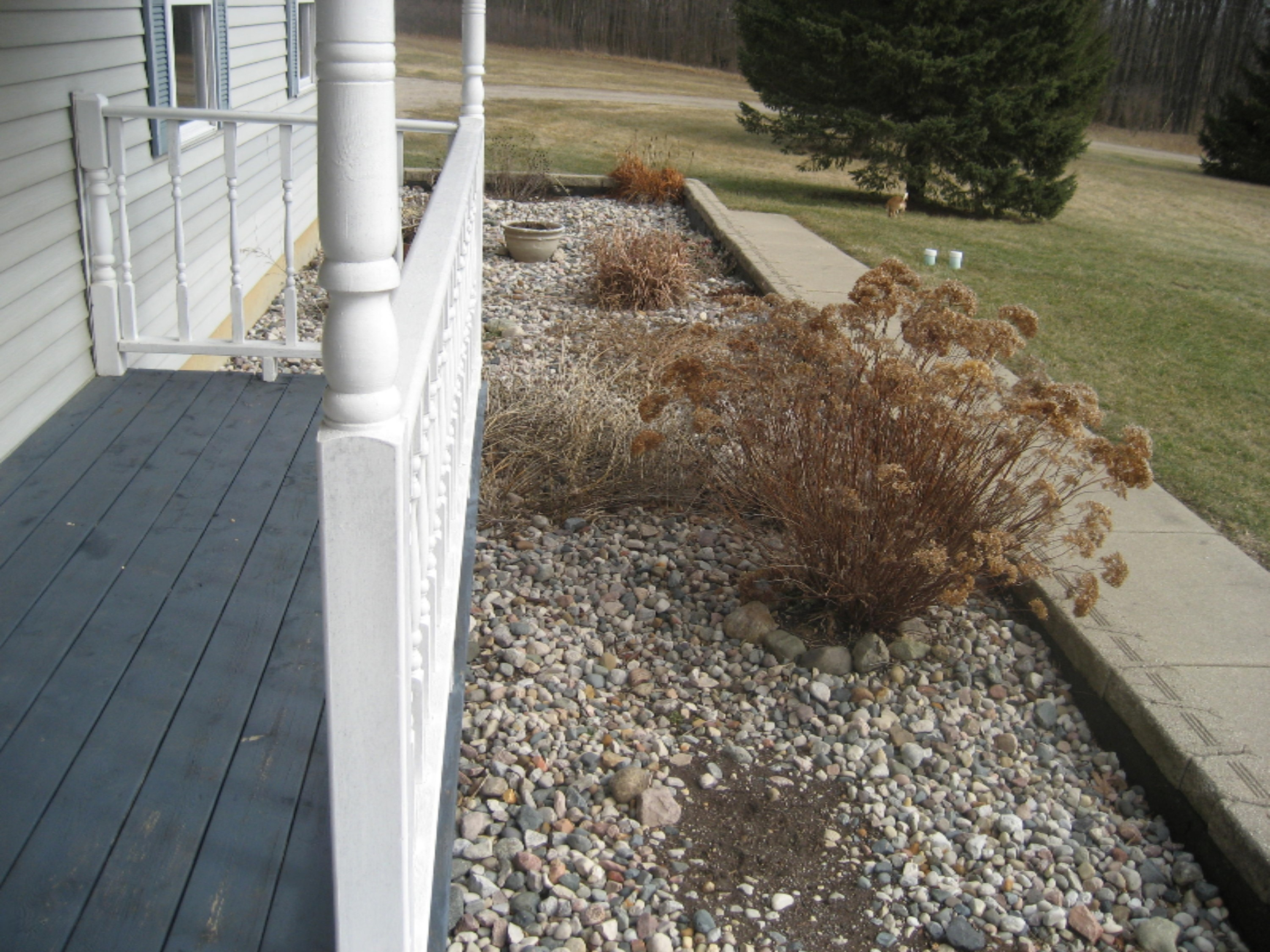10748 West Chadwick Road Eagle, MI 48822 - Photo 47 of 51 IMG_4598