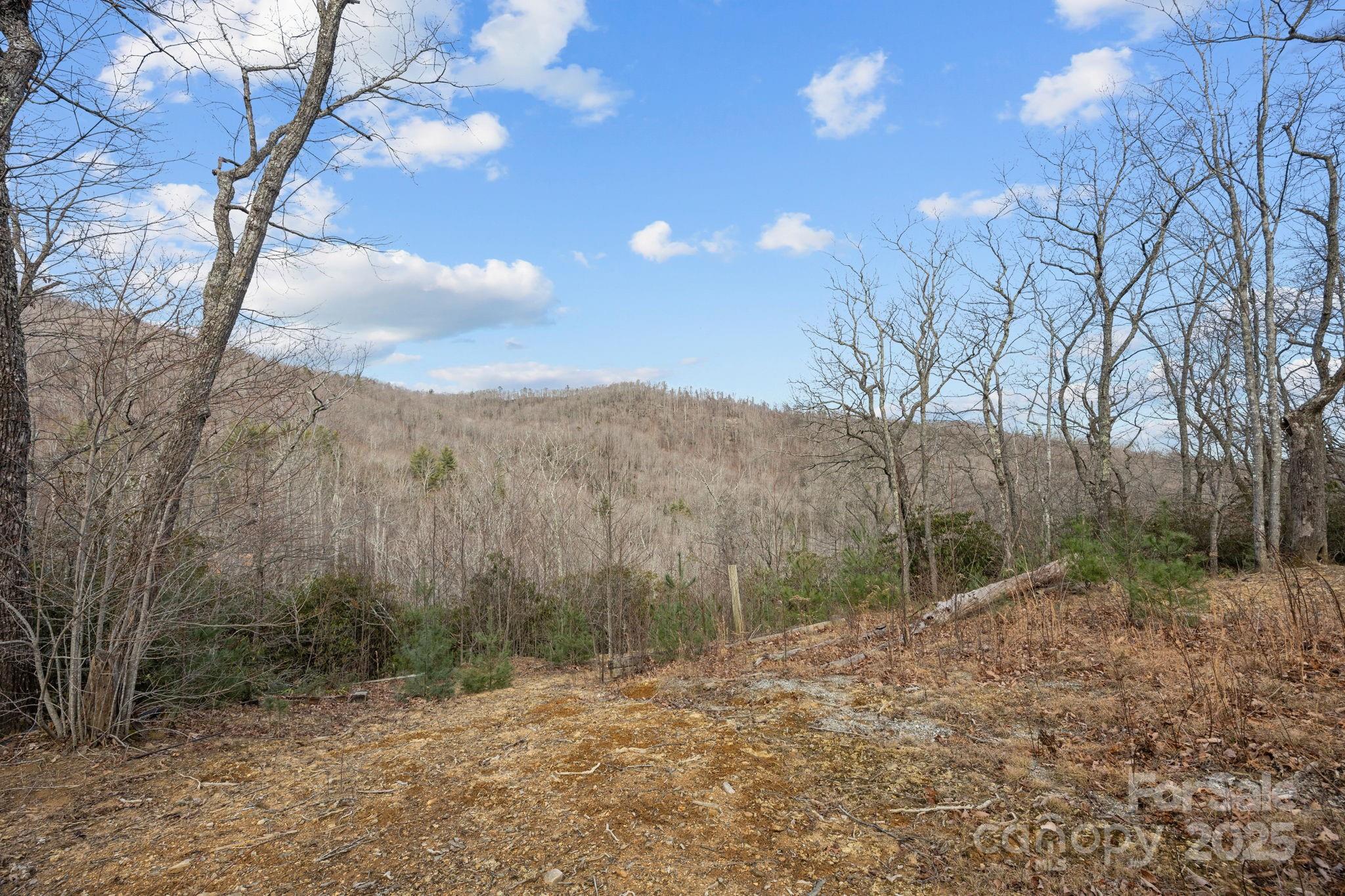1443 Old Mill Road, Unit 8/9 Hendersonville, NC 28792 - Photo 4 of 7 a view of a forest with trees in the background