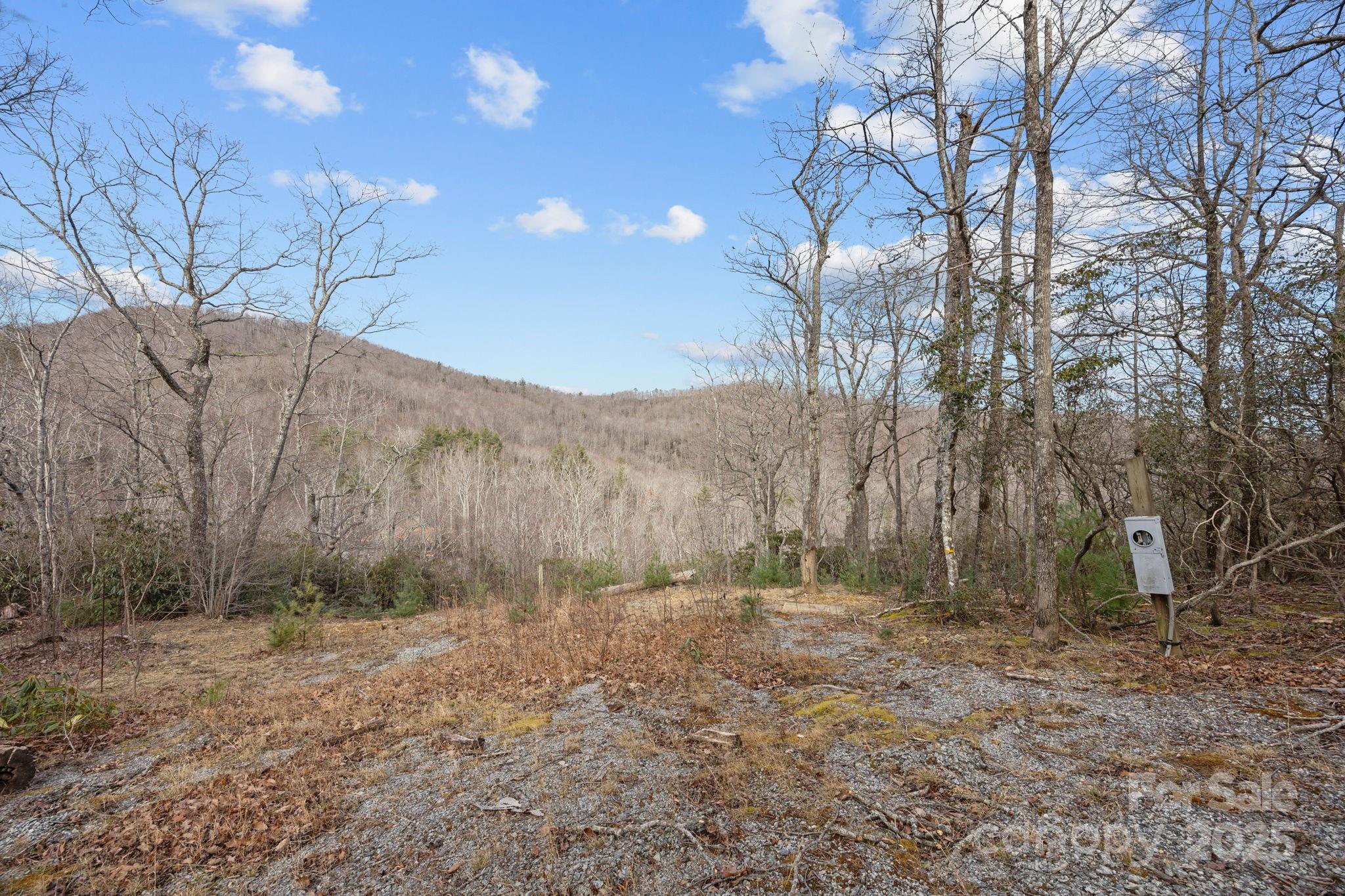1443 Old Mill Road, Unit 8/9 Hendersonville, NC 28792 - Photo 5 of 7 a view of a dry yard with trees