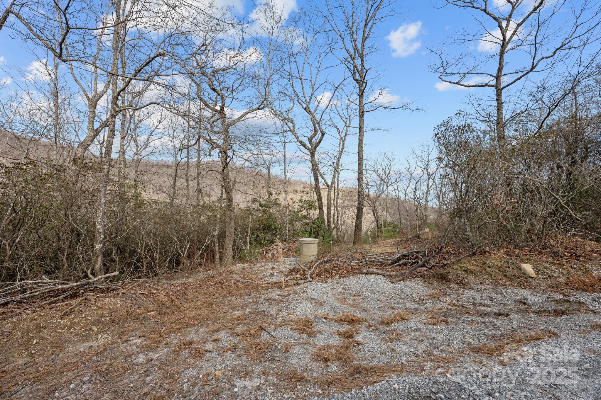 1443 Old Mill Road, Unit 8/9 Hendersonville, NC 28792 - Photo 6 of 7 a view of outdoor space with trees