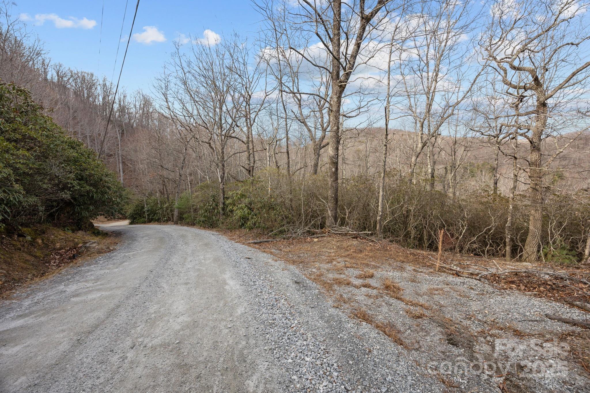 1443 Old Mill Road, Unit 8/9 Hendersonville, NC 28792 - Photo 7 of 7 a view of a backyard of the house