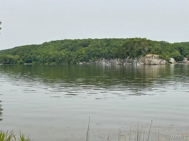 $50,000 | 1 Acre Log Cabin Trail, New Florence, MO 63363