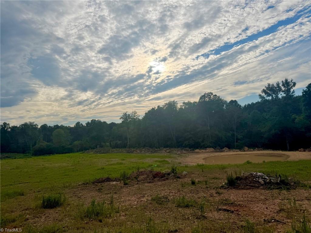 1000 Tarry Church Road Star, NC 27356 - Photo 6 of 10