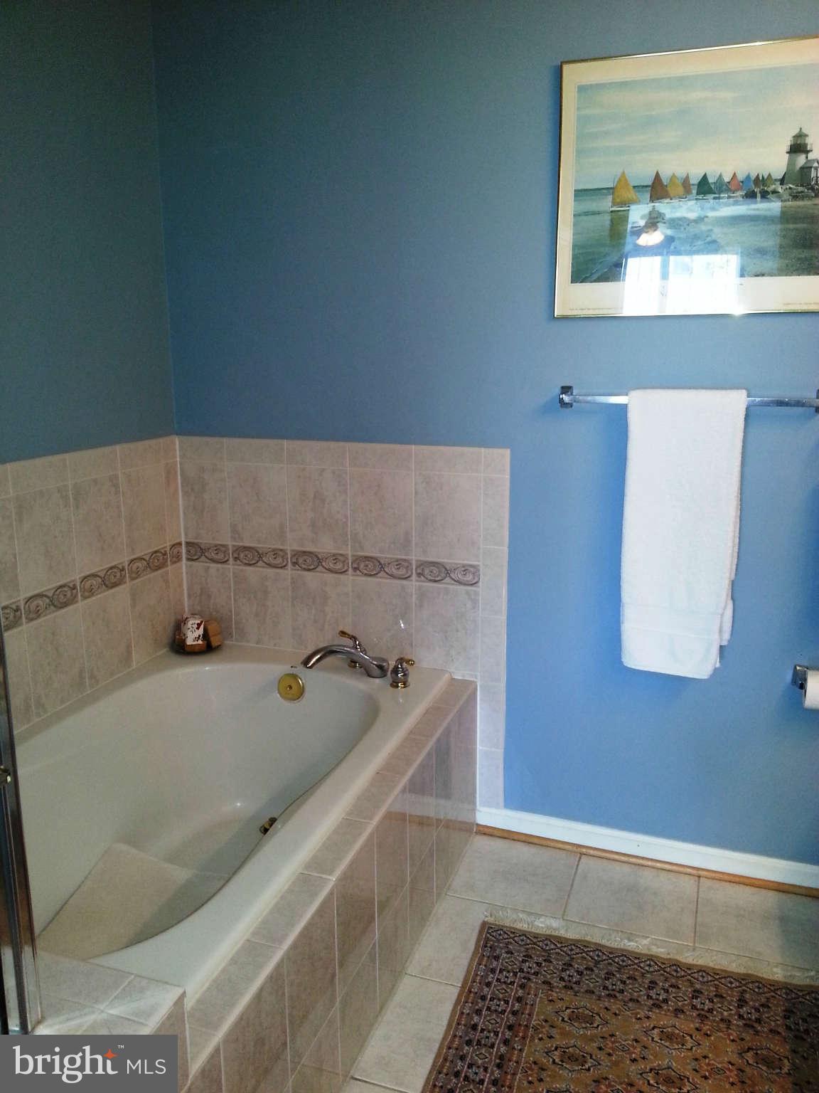 25272 Riffleford Square, Unit 204 Chantilly, VA 20152 - Photo 12 of 27 Bath (Master)
