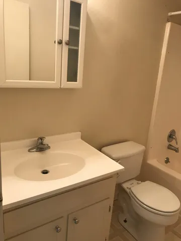 a bathroom with a sink and a toilet