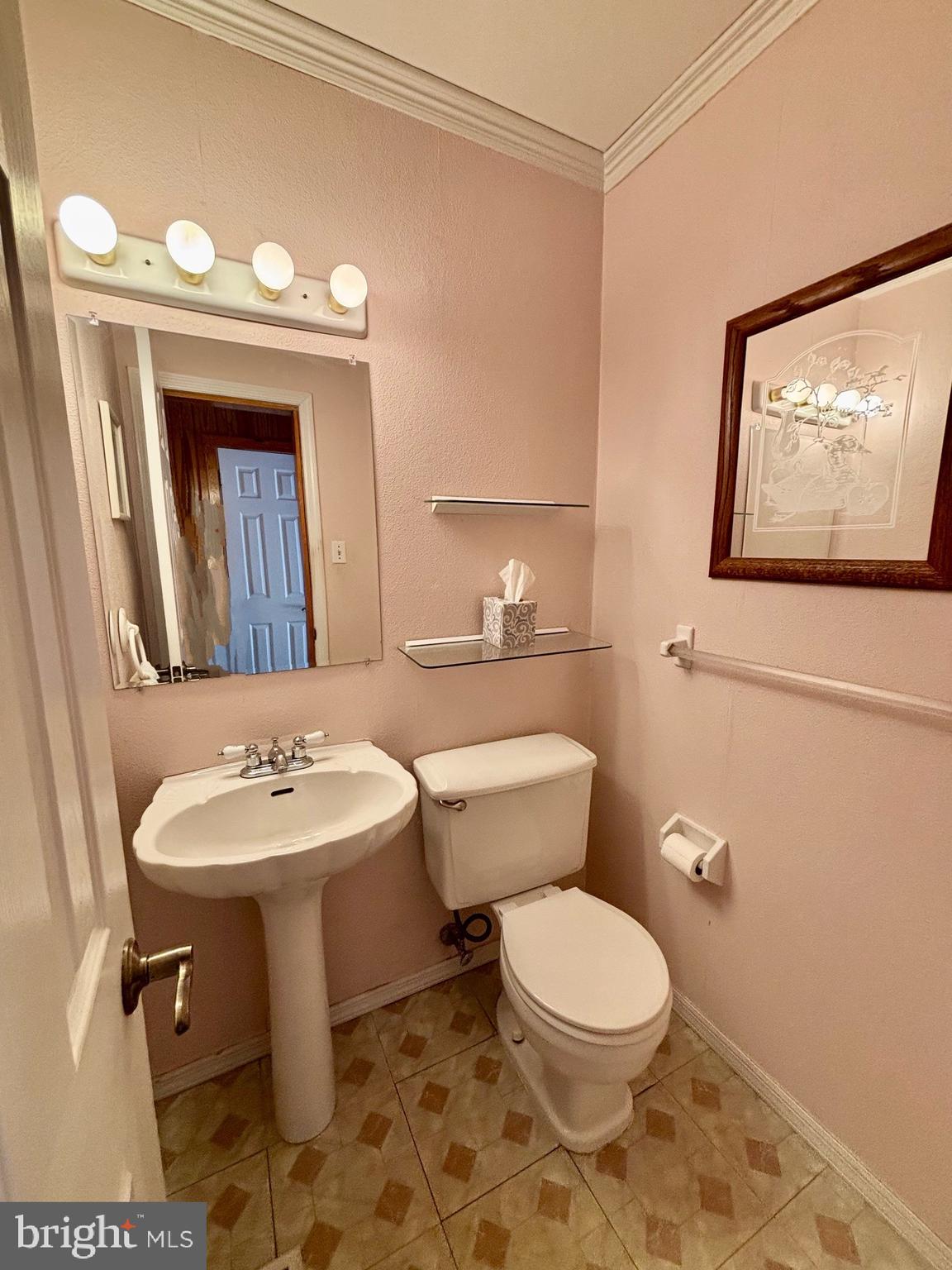 20 Bock Boulevard Howell, NJ 07731 - Photo 10 of 32 a bathroom with a toilet a sink and mirror