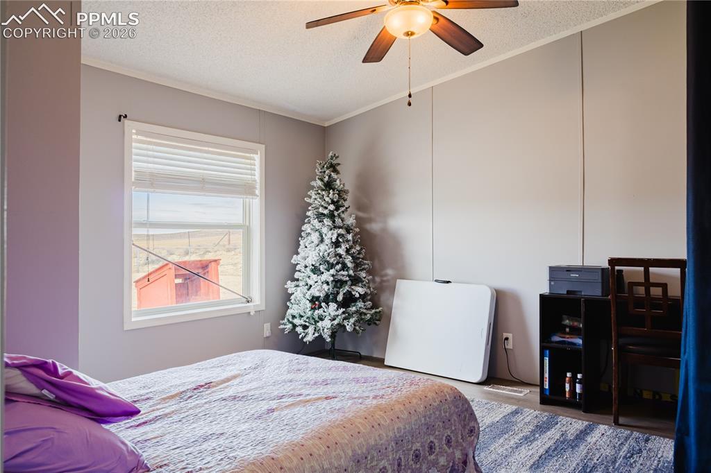 25220 Myers Road Colorado Springs, CO 80928 - Photo 16 of 22
