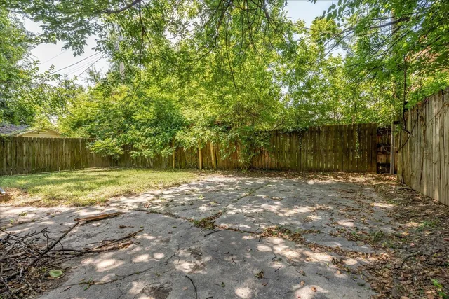 a view of a yard with plants and large trees