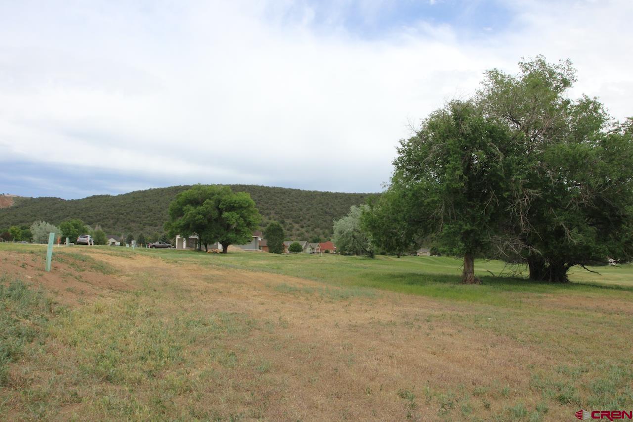 950 Southeast Fairway Drive Cedaredge, CO 81413 - Photo 11 of 20 a view of outdoor space with mountain view