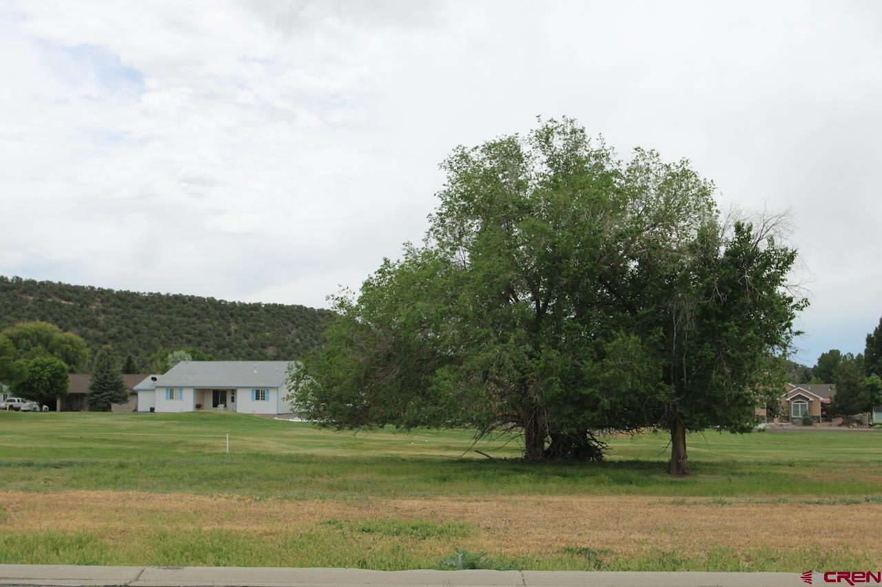 950 Southeast Fairway Drive Cedaredge, CO 81413 - Photo 13 of 20 a view of a field