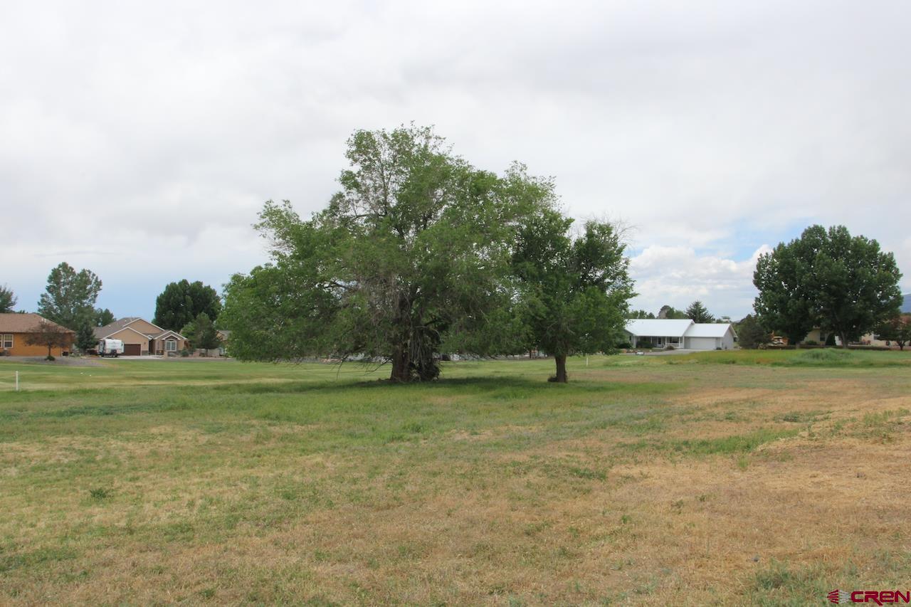 950 Southeast Fairway Drive Cedaredge, CO 81413 - Photo 15 of 20 a view of outdoor space with trees all around