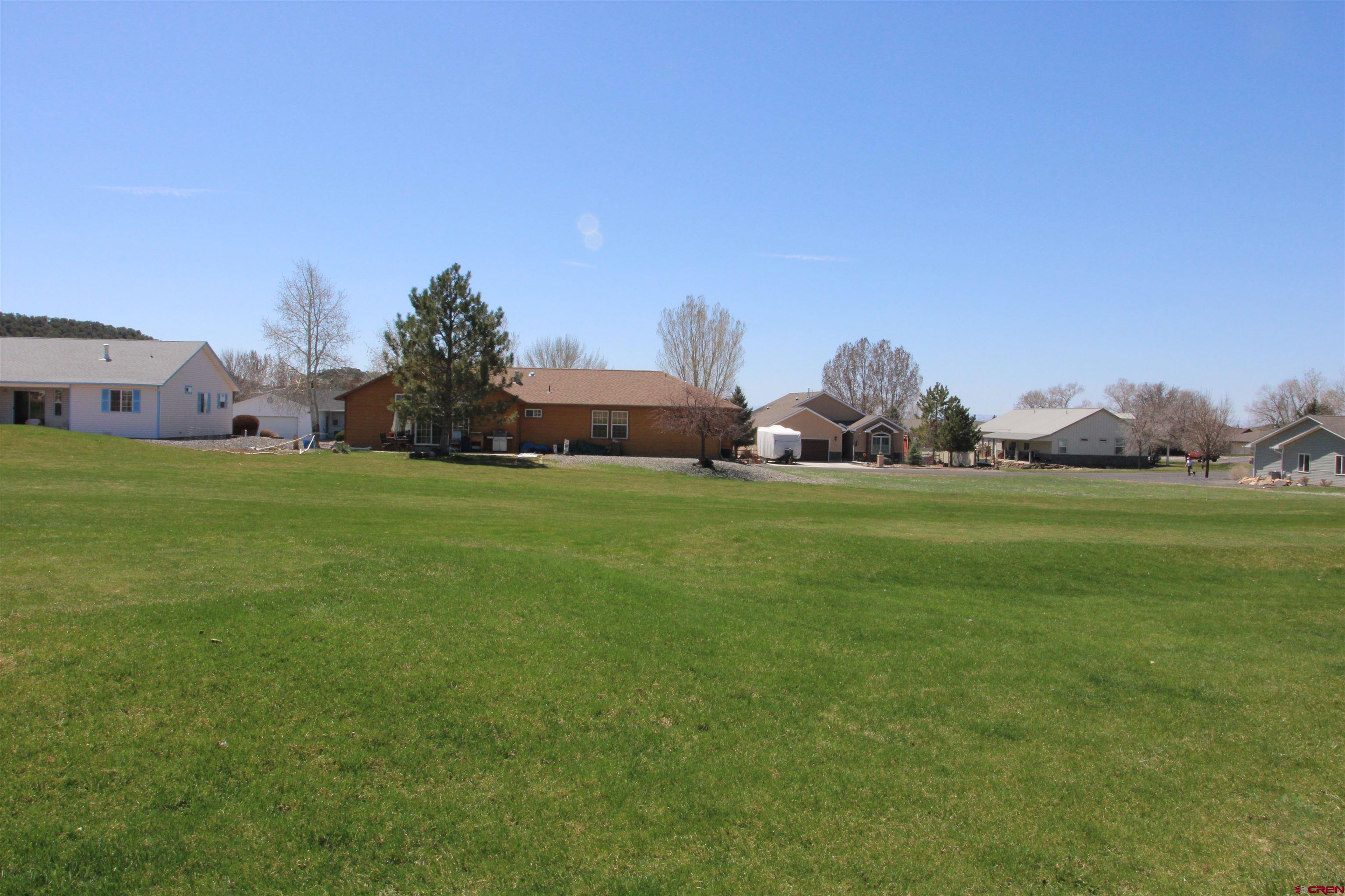 950 Southeast Fairway Drive Cedaredge, CO 81413 - Photo 17 of 20 a view of a field with of trees