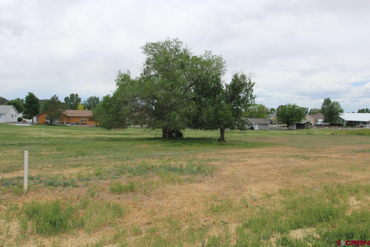 950 Southeast Fairway Drive Cedaredge, CO 81413 - Photo 19 of 20 a view of outdoor space with deck and yard